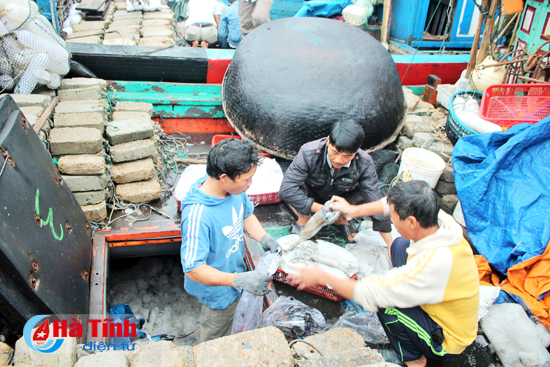 Gác lại khó khăn, ngư dân Hà Tĩnh tiếp tục “rẽ sóng” ra khơi