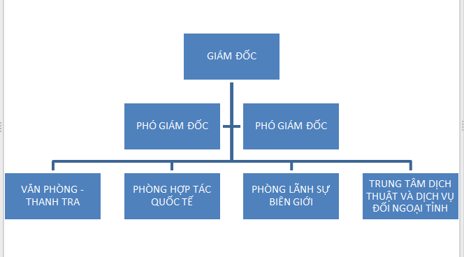 Cơ cấu tổ chức