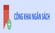 Quyết định về việc công khai dự toán ngân sách năm 2019