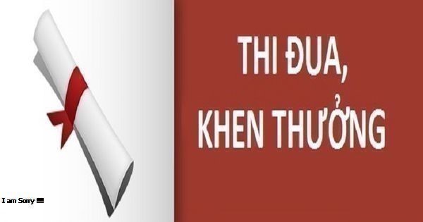 Tặng Bằng khen của Thủ tướng Chính phủ